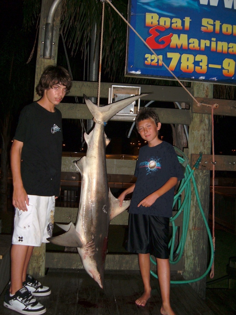 Shark Fishing Tips  Port Canaveral & Cocoa Beach