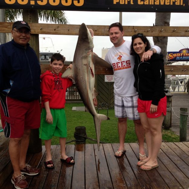 blacktip sharklb port canaveral