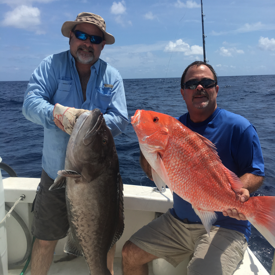 blackbelly grouper snapper charter fishing