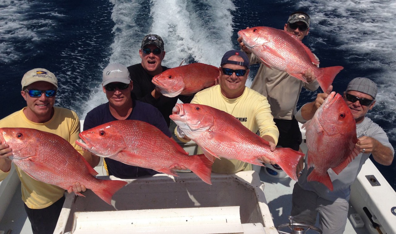Red Snapper Madness
