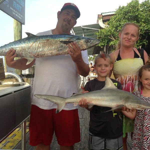 patchell blacktip shark kingfish