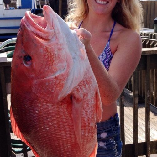 red snapper big canaveral florida